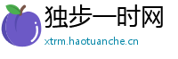 独步一时网